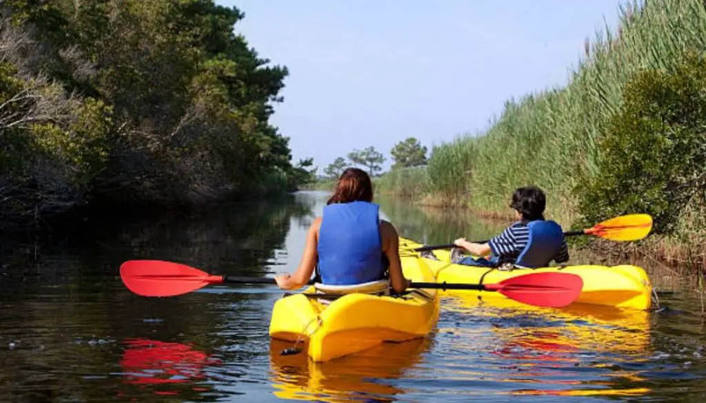 canoe paddle