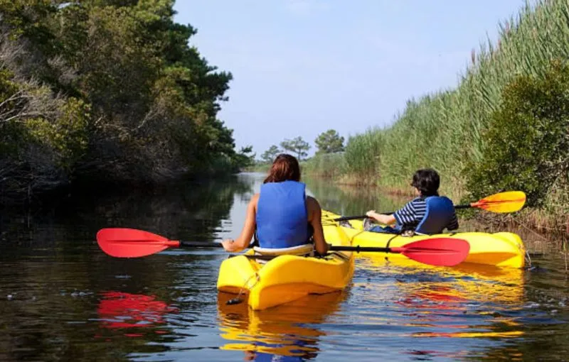 canoe paddle