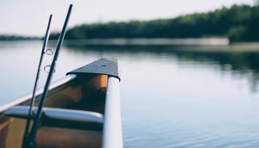 Bass boat and fishing rodd