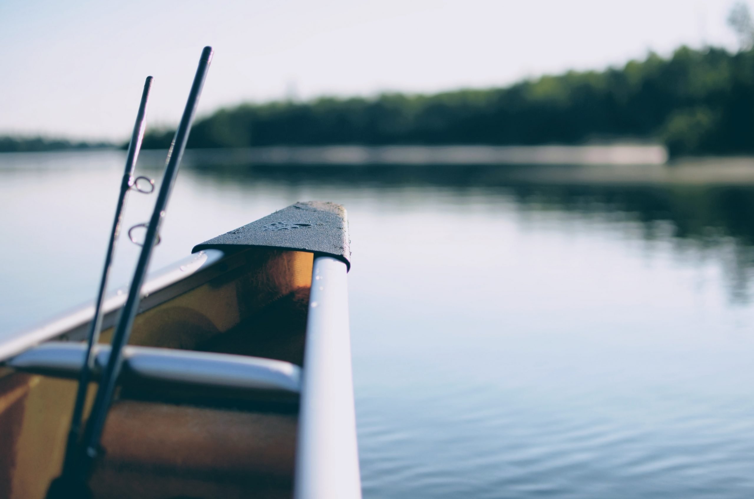 Bass boat and fishing rodd