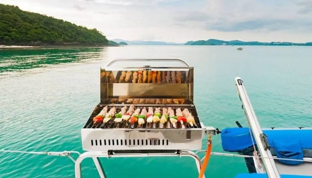 10 Best Pontoon Grills