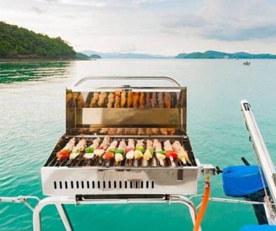 10 Best Pontoon Grills