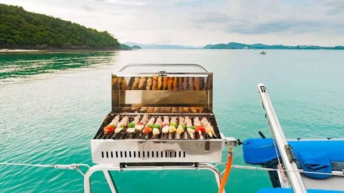 10 Best Pontoon Grills